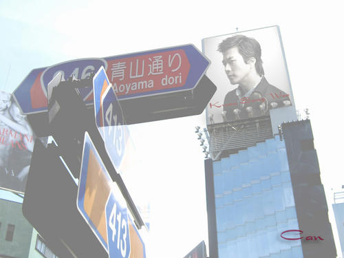 ksw200749.jpg