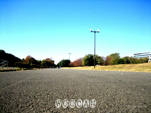 IMG_2335.jpg