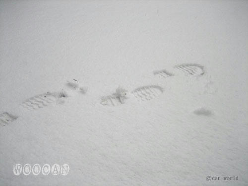 IMG_2506.jpg