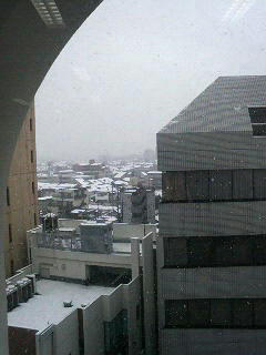 20080203001.jpg