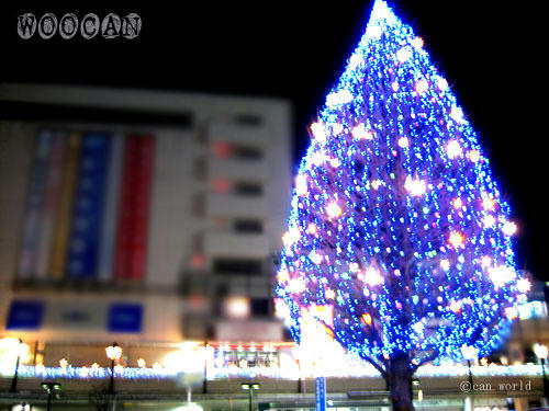 IMG_2548.jpg