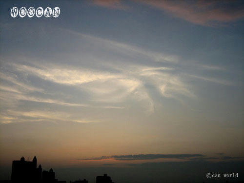 IMG_2731.jpg