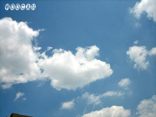 IMG_2748.jpg