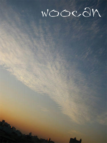 IMG_3255.jpg