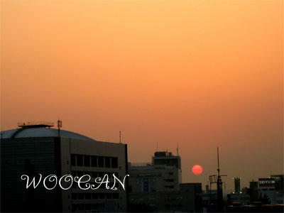 IMG_3288.jpg