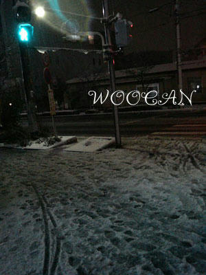 201003092129000.jpg