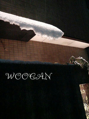 201003092132000.jpg