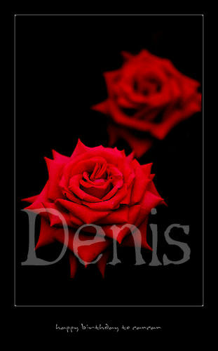 denis3.jpg