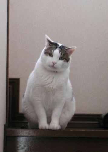 うーん？そろそろ・・・？