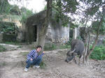 IMG_1774_resize.JPG