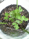 endou0710.jpg