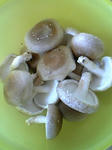 kinoko0728.jpg
