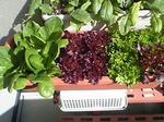 retasu0801_01.jpg