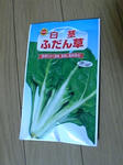fudan0801_01.jpg