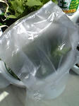 ninzin0801_02.jpg