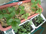 itigo0801_10.jpg