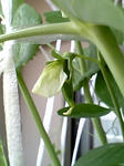 endou0801_11.jpg
