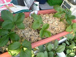 itigo0801_12.jpg
