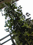 endou0801_16.jpg