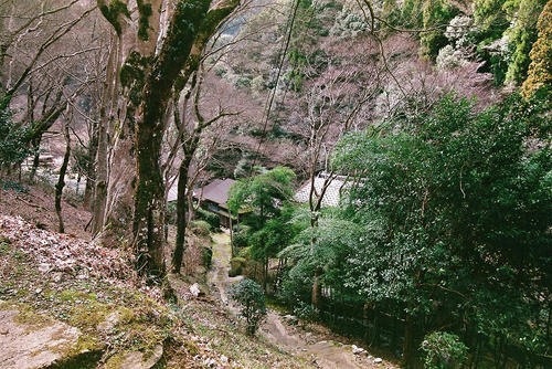 京都　嵐山　清滝