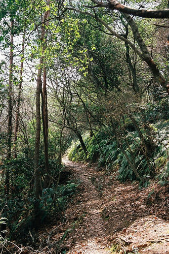 京都　嵯峨　小倉山　ハイキングコース.jpg
