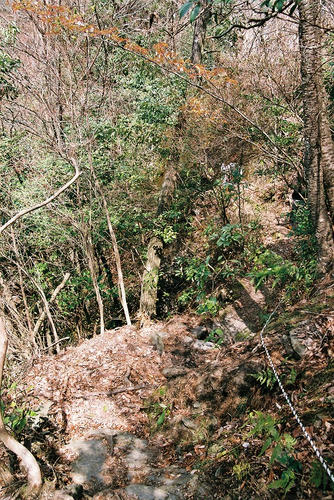京都　嵯峨　小倉山　ハイキングコース.jpg