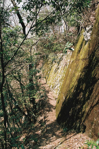 京都　嵯峨　小倉山　ハイキングコース.jpg
