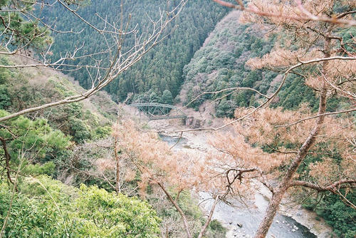 京都　嵯峨　小倉山　ハイキングコース.jpg