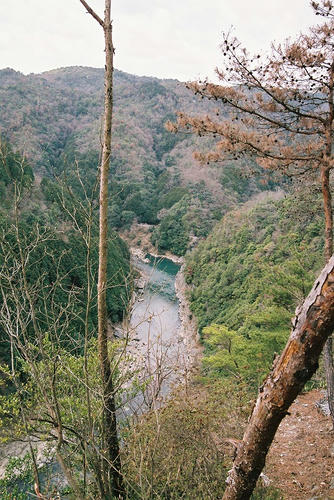 京都　嵯峨　小倉山　ハイキングコース.jpg