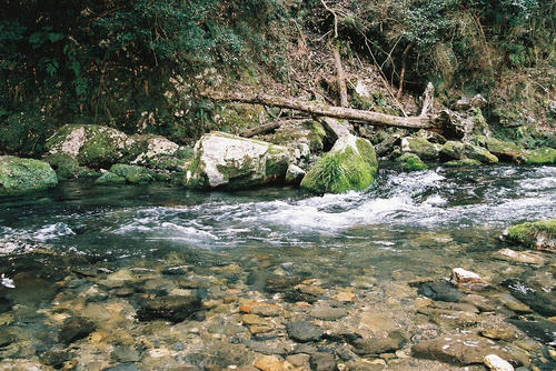 京都　清滝川.jpg
