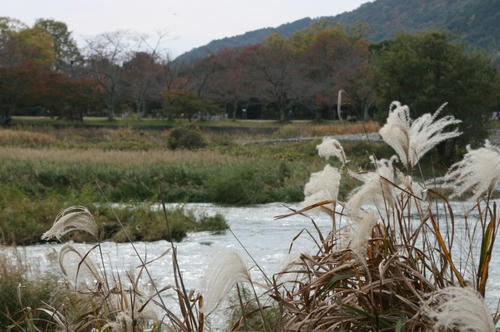 嵐山　桂川
