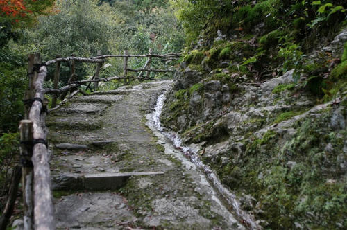 嵐山　紅葉　大悲閣千光寺