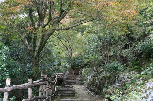 嵐山　紅葉　大悲閣千光寺