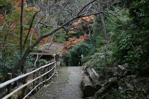 嵐山　紅葉　大悲閣千光寺