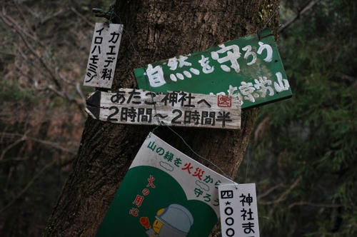 京都 初詣 冬山 愛宕山 愛宕神社