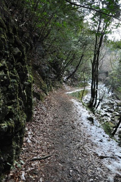 京都　清滝川　京都一周トレイル　雪　冬