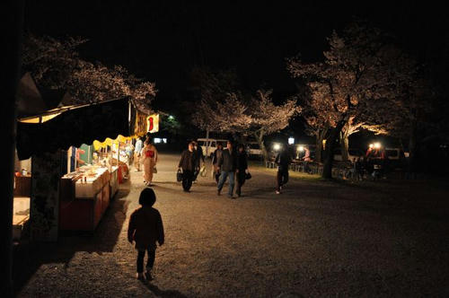 京都　嵐山　夜桜