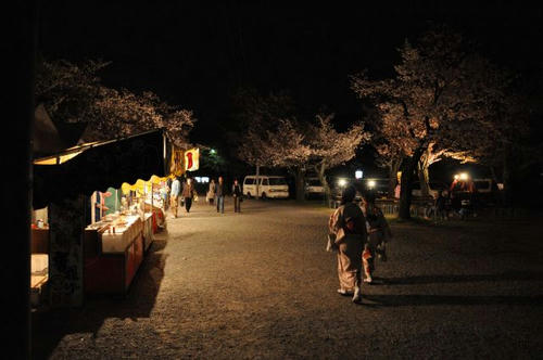 京都　嵐山　夜桜