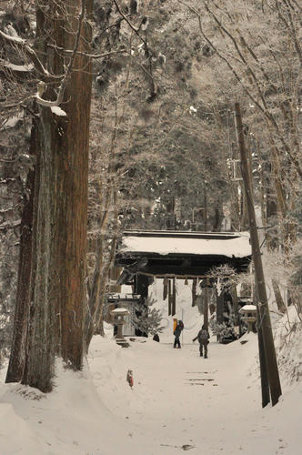 京都　愛宕山　清滝　初詣　雪