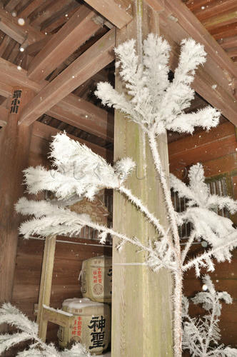 京都　愛宕山　清滝　初詣　雪