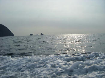 DSCF2125.jpg