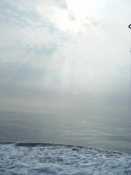 DSCF2127.jpg