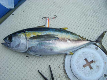 DSCF2135.jpg
