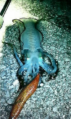 200811102123001.jpg
