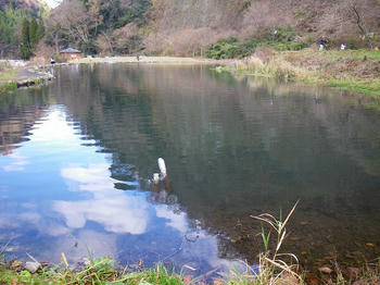 IMGP0028.jpg