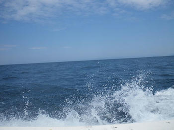 IMGP0149.jpg