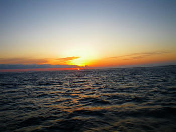 IMGP0819.jpg