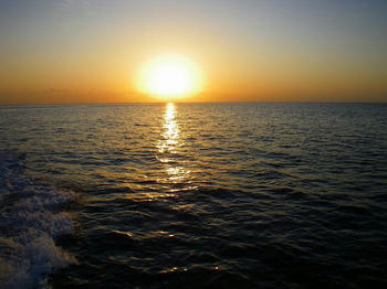 IMGP0880.jpg