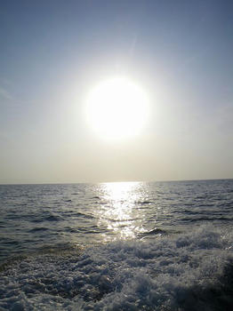 IMGP1143.jpg
