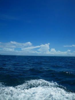 IMGP1713.jpg